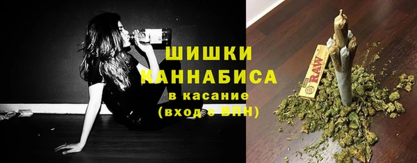 гидропоника Горнозаводск