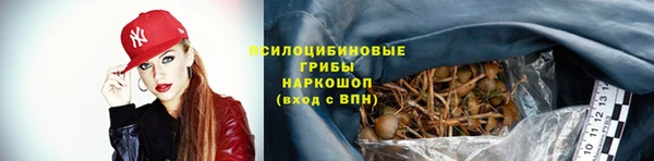 дживик Тайга