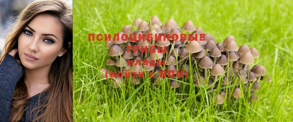 гидропоника Горнозаводск