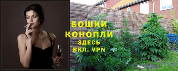 МДМА Горняк