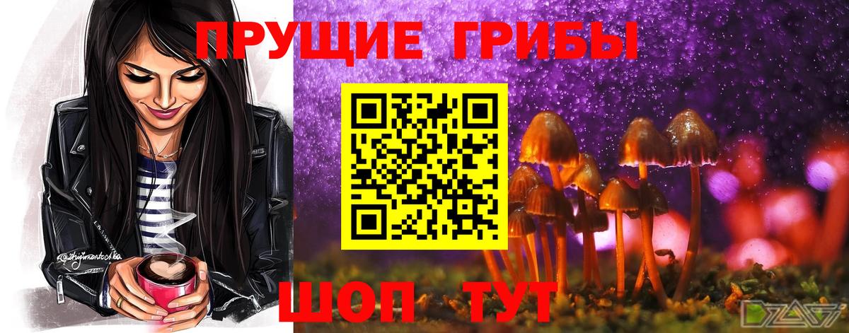 Псилоцибиновые грибы Magic Shrooms  Галлюциногенные грибы Cubensis  Протвино  Вход с VPN 