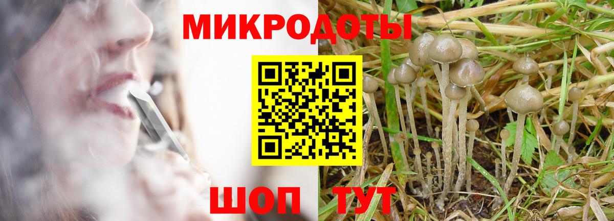 Галлюциногенные грибы мицелий Протвино
