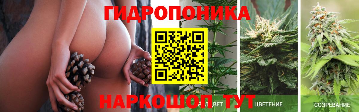 МАРИХУАНА планчик  Канабис SATIVA & INDICA  Протвино  Вход с VPN 
